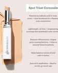 Spot Treat Concealer